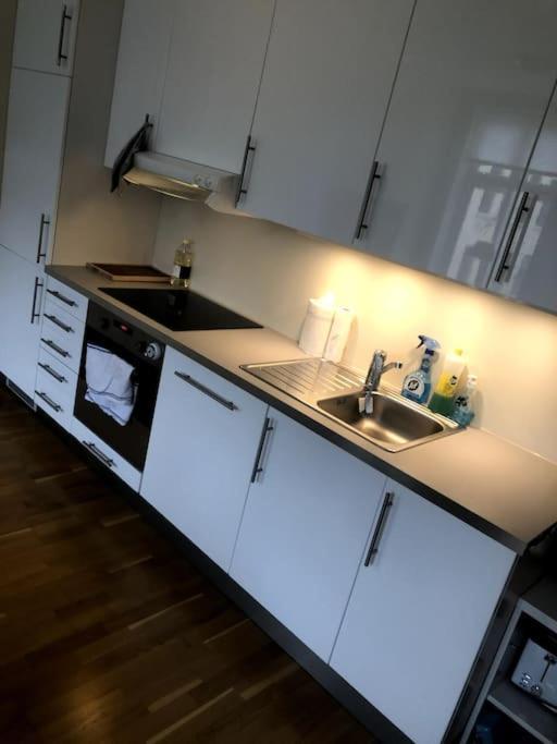 Apartment Fin Og Super Sentral *