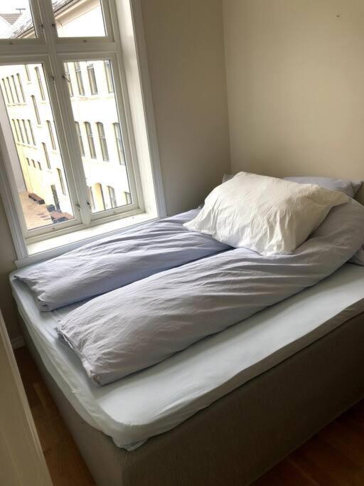 Fin Og Super Sentral Apartment Bergen