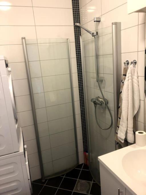 Fin Og Super Sentral Apartment *